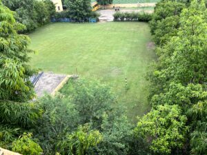 lawn